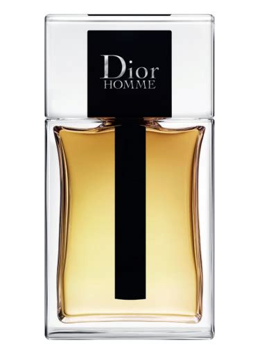 botte christian dior homme|dior homme original for men.